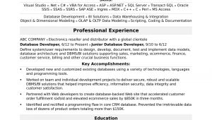 Mid Level Net Developer Resume Sample Sample Resume for A Midlevel It Developer