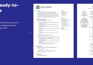 Net Developer Sample Resume Job Hero How Resume.io Used Paddle to Scale their Global Business