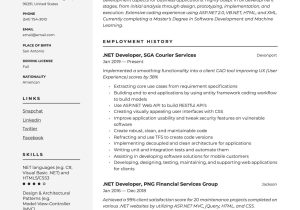 Net Developer Sample Resume with Financial Company Experience Net Developer Resume & Writing Guide  17 Templates 2022