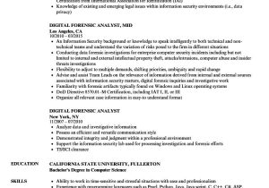 Net Developer with Splunk Sample Resume the Marvelous Digital forensic Analyst Resume Samples Velvet …