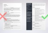 Net with Main Frames Sample Resume Accounts Payable Resume Sample & Job Description [20 Tips]