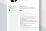 Net with Main Frames Sample Resume assistant Planner Resume Template – Template.net