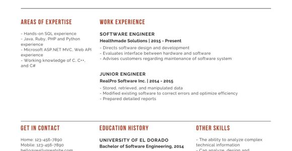 Net with Main Frames Sample Resume Simple Professional software Engineer Resume – Templates by Canva