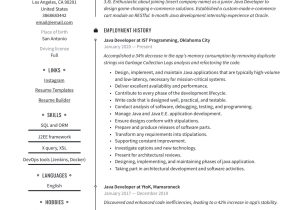 Oracle Databse Java Deveoper Sample Resume Java Developer Resume & Writing Guide  20 Templates