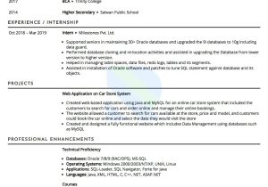 Oracle Databse Java Deveoper Sample Resume Sample Resume Of oracle Dba with Template & Writing Guide Resumod.co