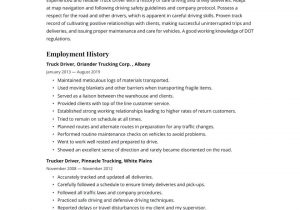 Owner Operator Truck Driver Resume Sample Truck Driver Resume Examples & Writing Tips 2021 (free Guide)