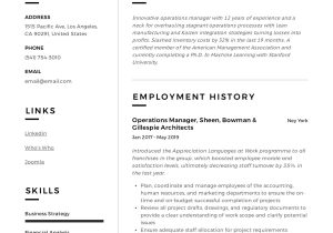 Production and Operation Management Resume Sample Operations Manager Resume & Writing Guide  12 Examples Pdf