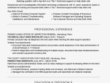 Professional Summary Resume Sample for It It Technician Resume Example with Summary Statement