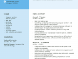 Professional Summary Resume Sample for It Professional Resume Examples Our Most Popular Resumes In
