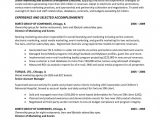 Professional Summary Resume Sample for It Simple It Director Resume Summary General Resume Summary