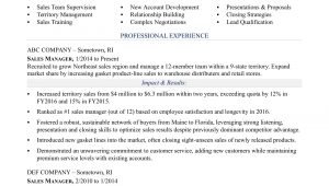 Profile Summary Sample for Sales Resume Sales Manager Resume Sample