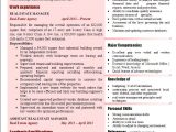 Real Estate Manager Resume Sample India Real Estate Manager Resume 2017 Examples