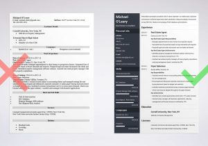 Real Estate Sales Consultant Resume Sample Real Estate Agent Resume Samples & Writing Guide