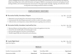 Recreation attendant Sample Resume No Experience Recreational Facility attendant Resume Examples & Writing Tips 2022