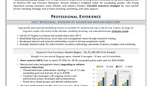 Regional Vp Of Sales Sample Resume Regional Vp Sales Sample Resume by top Executive Resume Writer …