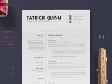 Resume and Cv Templates for Pages 35lancarrezekiq Best Pages Resume & Cv Templates 2021 Design Shack