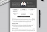 Resume format 2022 Template Free Download 2021-2022 Pre-formatted Resume Template with Resume Icons, Fonts …
