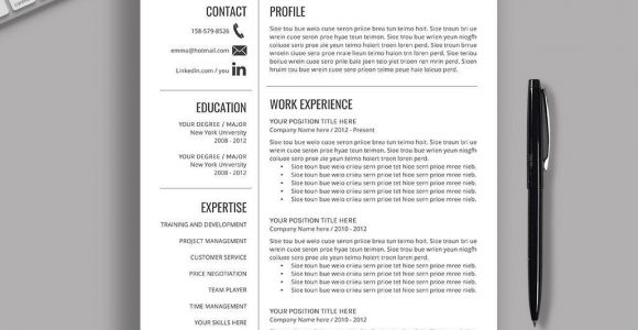 Resume format 2022 Template Free Download 2021-2022 Pre-formatted Resume Template with Resume Icons, Fonts …