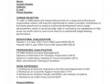 Resume Sample for Airport Ground Staff Cv Pdf Business