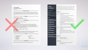 Resume Sample for Development Sector Ngo Nonprofit Resume Examples (template & Guide)