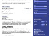 Resume Sample for Senior software Engineer Senior software Engineer Cv Sample 2022 Writing Tips – Resumekraft