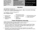 Resume Sample From associate Project Manager Sample Resume for An assistant It Project Manager Monster.com