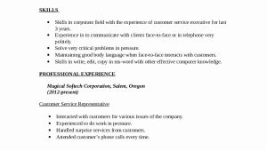 Resume Samples for Customer Service Executive Resume format for Customer Service Executive – Resmud