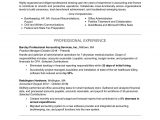 Resume Samples for It Jobs Experienced Professional Resume Examples and Writing Tips