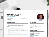 Resume Summary Samples for It Professionals 83 Resume Summary Examples & How-to Guide for 2021