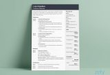 Resume Template for A Lot Of Information 15 One Page Resume Templates [examples Of 1 Page format]