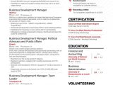 Resume Template for Business Development Manager Business Development Resume Samples [4 Templates   Tips]