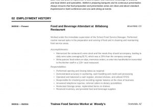 Resume Template for Food Service Industry 22 Food & Beverage attendant Resume Samples Free