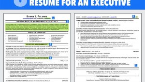 Resume Template for Lots Of Experience Ideal Resume for someone with A Lot Of Experience