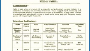 Resume Template for Teachers In India Resume Of A Teacher India Teachers Resume format India Curriculum …