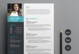 Resume Template with Only One Job Clean Cv Resume Template by anda Lia On Dribbble