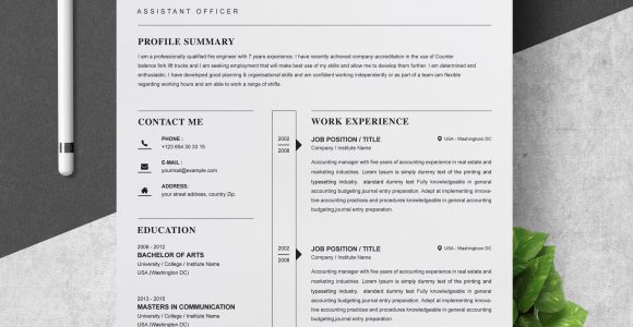 Resume Templates for Experienced It Professionals Free Download Professional Resume Template â Free Resumes, Templates Pixelify.net