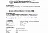 Resume Templates for Experienced software Testing Professionals Microsoft Excel Testversion Resume Examples, Basic Resume …