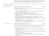 Sales and Marketing Executive Resume Sample Pdf Marketing Executive Resume & Writing Guide  12 Examples 2020