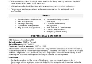 Sales Specialist Job Description Sample Resume Sales Director Resume Sample Monster.com