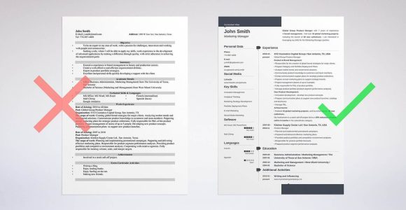 Sample Additional Skills for It Job Resume Skills to Put On Resume (list Of Good Examples for All Jobs)