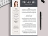 Sample Cover Letter for Job Resume 2023 2022-2023 Pre-formatted Resume Template with Resume Icons, Fonts …