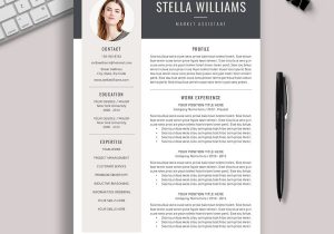 Sample Cover Letter for Job Resume 2023 2022-2023 Pre-formatted Resume Template with Resume Icons, Fonts …