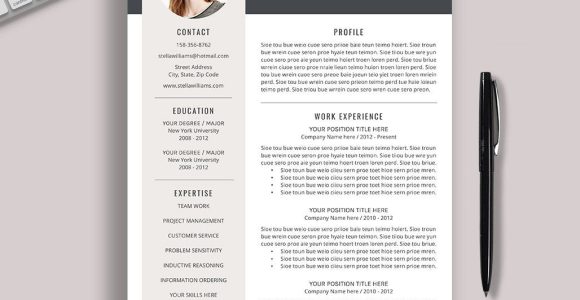 Sample Cover Letter for Job Resume 2023 2022-2023 Pre-formatted Resume Template with Resume Icons, Fonts …