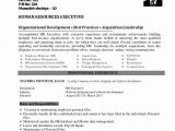 Sample Functional Resume for Human Resource Manager Human Resources Director Resume Awesome Functional