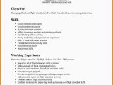 Sample Objectives for Resume with No Experience No Work Experience Resume Comfortable 7 Flight attendant Resume No …