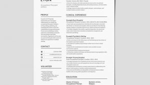 Sample Occupational therapy Resume New Grad How to Make Your Ot Resume Stand Out â¢ Ot Potential