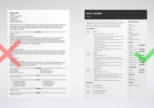 Sample Of Good and Bad Resume Curriculum Vitae Examples: 500lancarrezekiq Cv Samples for 2022