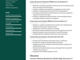 Sample Of Human Resources Resume Objective Human Resources Resume Examples & Writing Tips 2022 (free Guide)