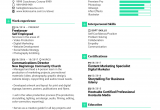 Sample Of Resume for Graphic Designer Graphic Designer Resume Sample