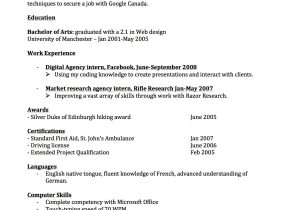 Sample Of Resume for Spanish Position Templates and Examples – Joblers